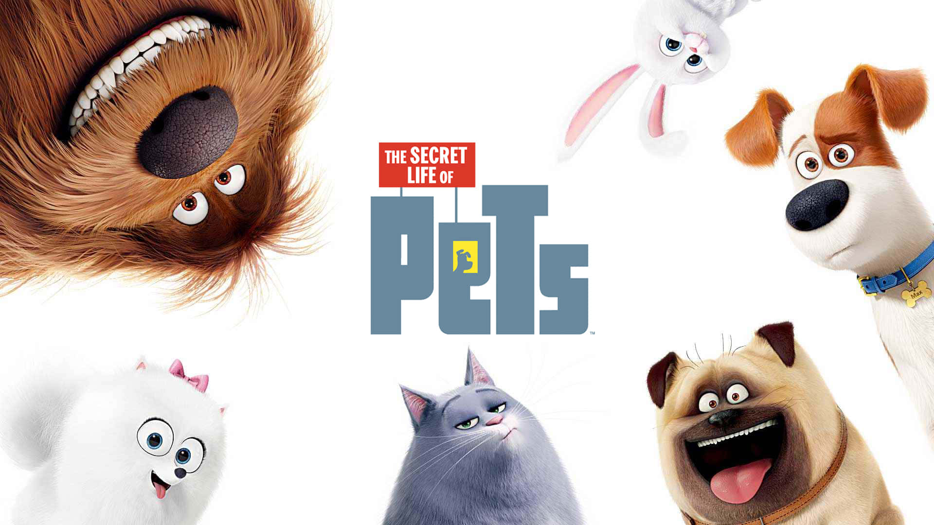 The Secret Life of Pets